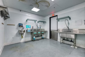 Commercial Kitchen 4