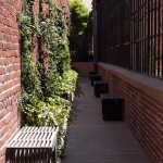 Lease Space Gallery 10