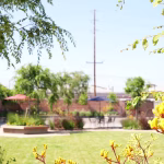 Lease Space Gallery 8