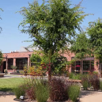 Lease Space Gallery 9