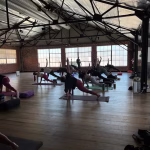 Tree Yoga Cooperative 2